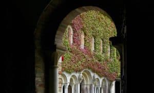 Abbaye de l'Escaladieu